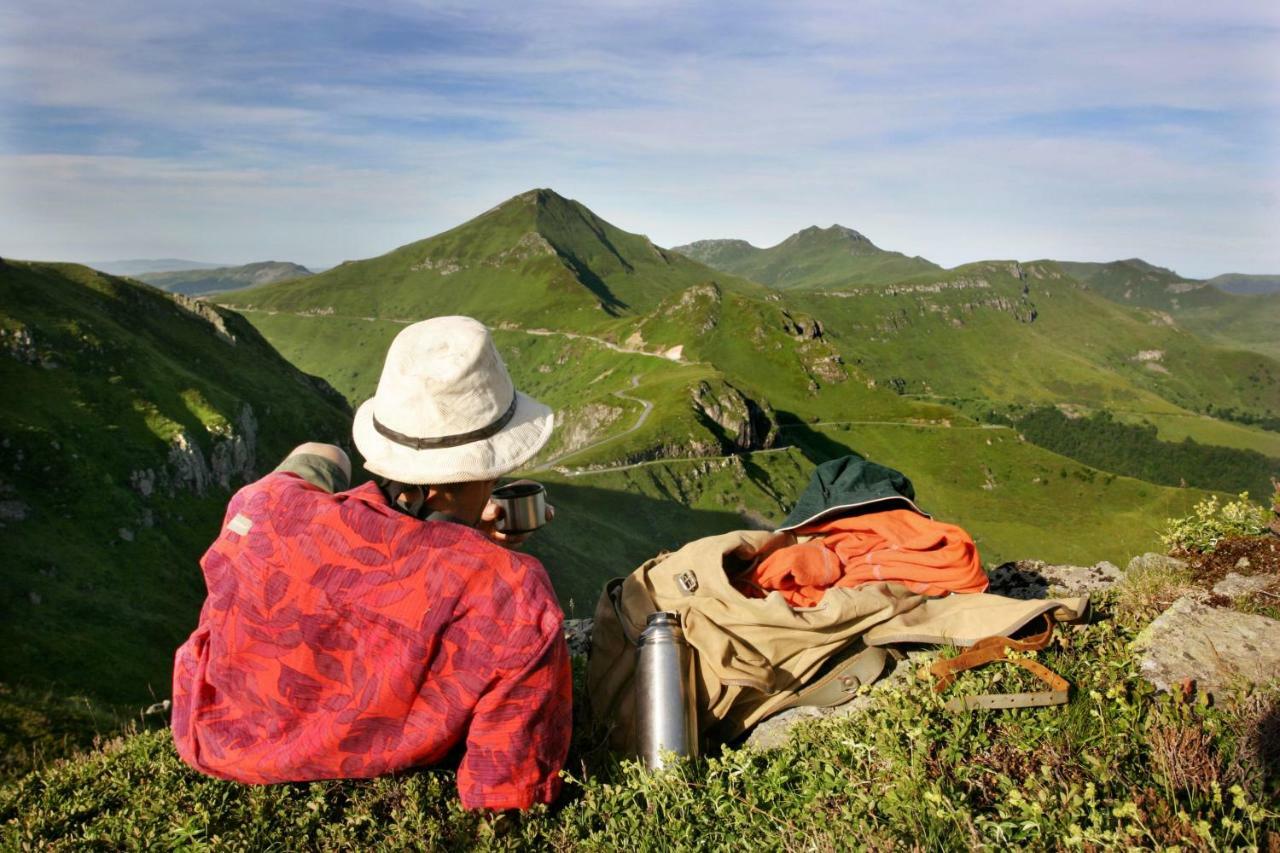 Appartamento Meublé de tourisme La Jaulipière Joursac Esterno foto